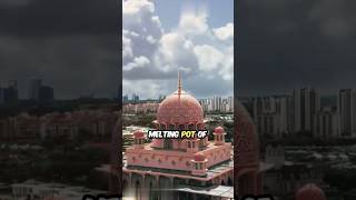 Amazing Facts About Malaysia 🇲🇾 shorts facts malaysia [upl. by Arretak]