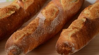 French Baguettes Recipe Demonstration  Joyofbakingcom [upl. by Eimarej]