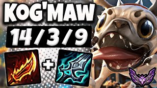 KogMaw vs Kalista  ADC  Lol Korea Master Patch 1410 ✅ [upl. by Aldwon]