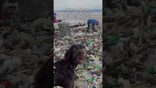 The Harsh Reality of Plastic Pollution😟♻️ plastic pollution beaches ocean reality [upl. by Niveek]