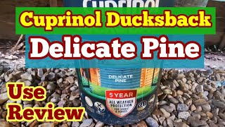 Cuprinol Ducksback Delicate Pine Fence and Shed Paint Use Review Colour Fidelity [upl. by Harmaning]