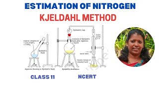 Kjeldahl Method  Estimation of Nitrogen  Class 11  CBSE ncert [upl. by Yzmar886]