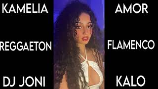 KAMELIA AMOR AMOR REGGAETON FLAMENCO DJ JONI KALO [upl. by Aicre]