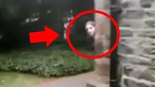 Real Ghost Caught On Camera Top 5 Scary Haunted Houses [upl. by Maribel919]