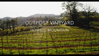 Outpost vineyard on the higher slopes of Howell Mountain in Napa Valley [upl. by Anohsal]