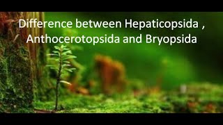 Difference between Liverworts Hornworts and Mosses  For BSc and MSc  By Jyoti Verma [upl. by Greta313]