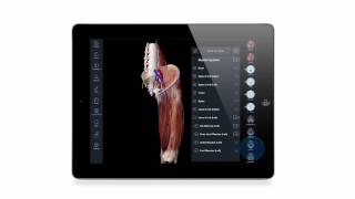 Introducing Essential Anatomy 3 [upl. by Aset]