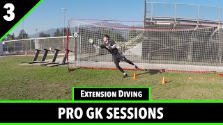 Session 3  Goalkeeper Training  Pro GK Academy [upl. by Naiva]