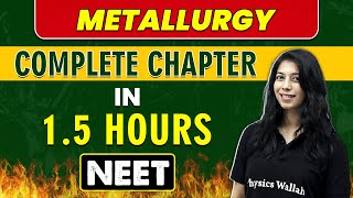 METALLURGY in 15 Hours  Complete Chapter for NEET [upl. by Takakura]