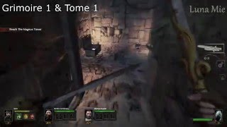 Warhammer End times  Vermintide  The Horn of Magnus Tomes and Grimoires Patch 11 [upl. by Foster957]