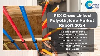 PEX Cross Linked Polyethylene Market Report 2024  Forecast Market Size amp Growth [upl. by Ellsworth]