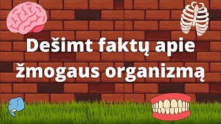 Dešimt faktų apie žmogaus organizmą🧠  Edukaciniai filmukai vaikams🐘 [upl. by Assiralk]