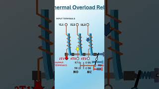 Thermal Overload Relay working principle [upl. by Ellenar]