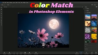 Color Match in Photoshop Elements [upl. by Oehsen]