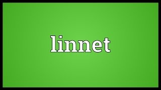 Linnet Meaning [upl. by Bryn]