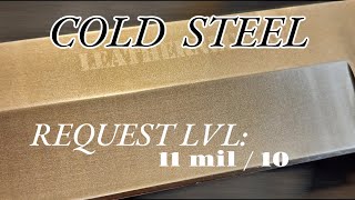 A HIGHLY REQUESTED COLD STEEL HARDNESS TEST [upl. by Chester]