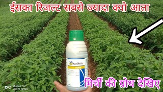 ईसका रिजल्ट सबसे ज्यादा क्यो syngenta isabion Tonik [upl. by Eldnek]