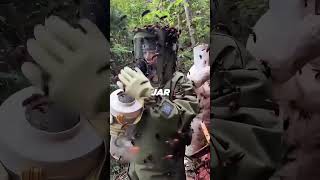 Wild Bees vs Honey Harvesting Beekeeping Nature HoneyExtraction [upl. by Essined90]