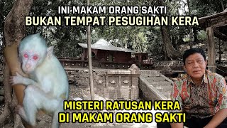 Ini Makam Orang Sakti Bukan Tempat Pesugihan Kera  Fakta Dibalik Ratusan Kera Di Makam Ini [upl. by Weiman313]