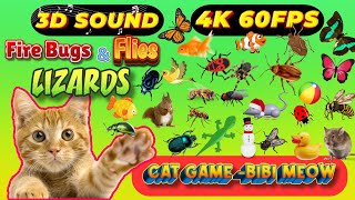 CAT GAMES BiBi TV  Ultimate Cat TV Compilation SPECIAL VOLUME 101  3 HOURS  Game On Screen🐝🐞🦋🦎🦜🐜 [upl. by Irehc955]