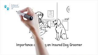 Why it is Important to use a Qualified and Insured Dog Groomer [upl. by Arracat]