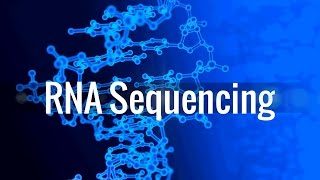 RNA Sequencing [upl. by Asira]