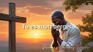 Tu es mon Berger  Dschang Harmony Singers [upl. by Chura]