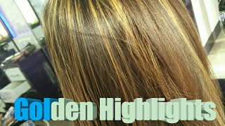 Golden Highlights  Blonde colour  LOreal Hair colouring indian hair [upl. by Kcirderfla]