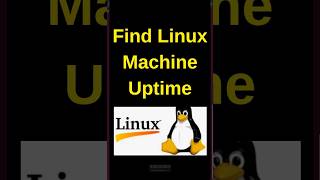 How to find the Linux uptime  Find the Linux machine boot time linux Linux shorts [upl. by Alyakim]