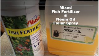 Mixing Neem Oil and Fish Fertilizer  Garden Foliar Sprays [upl. by Kronfeld376]