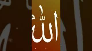 yie dunia chod di hamne tere khatir mere mauladin islamicshort video☝️☝️☝️🌹🌹 [upl. by Dachia840]