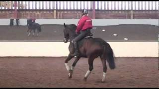 Pammy Hutton trains Georgie to secure her position in the saddle TRAILER [upl. by Sperry]