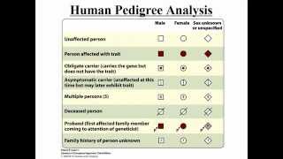 Pedigree Analysis [upl. by Bowen]