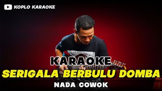 SERIGALA BERBULU DOMBA KARAOKE NADA COWOK  PRIA HIGH QUALITY AUDIO [upl. by Aneleve]