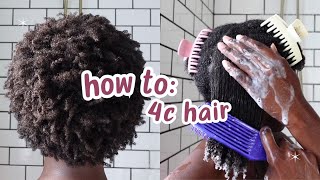 Curly Hair 101 Beginners Guide to 4C Hair [upl. by Nidia]