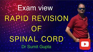 Spinal cord quick revision in Hindi [upl. by Andi658]