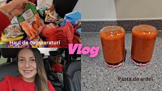 Vlog  Cumpărături săptămânale amp Pasta de ardei la borcan [upl. by Jaquelin990]