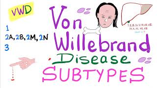 Von Willebrand Disease VWD Subtypes Type 1 2A 2B 2M 2N and 3 [upl. by Kailey]