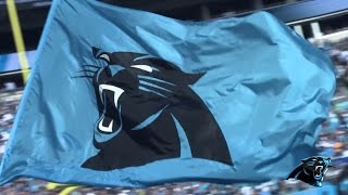 Carolina Panthers 2016 Divisional Round Playoff Highlights ᴴᴰ  RFH [upl. by Llezo]