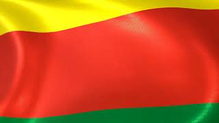 Flag of Bolivia 18261851 [upl. by Lattimer]