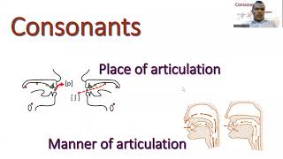 Consonants Place and manner of articulation [upl. by Anauj375]