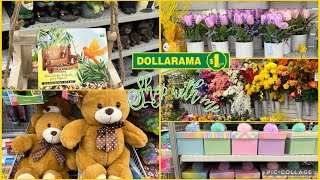 DOLLARAMA SHOP WITH ME  MARCH 6 2024 [upl. by Anahsor248]