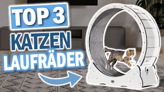 KATZEN LAUFRÄDER Die 3 Besten Modelle 2024 [upl. by Kieger]