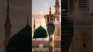 Phirke gali gali tabah thokare sab ki khaye kyun🥀 💚💫ytshortsin yarasulallahﷺ ytviral [upl. by Christyna]