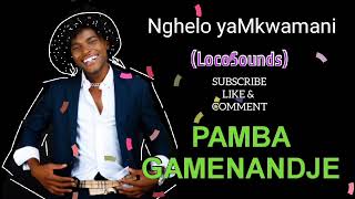 Pamba gamenandje Official audio [upl. by Anoynek]