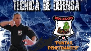 quotPuntas Penetrantesquot tecnica de defensa de kenpo [upl. by Selden240]