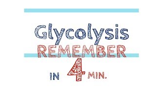 Glycolysis explained Remember in 4 minutes ①【USMLE biochemistry】 [upl. by Ely55]