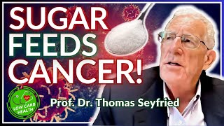 025 How KETO DIET Works in CANCER – Prof Dr THOMAS SEYFRIED Full Interview [upl. by Eiromem]