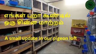 Berrys Birds Farm II Pigeon Loft update II எங்கள் புறா கூண்டில் ஒரு சின்ன மாற்றம் [upl. by Frymire]