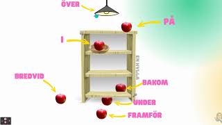 Prepositioner Rumsprepositioner [upl. by Eleumas856]